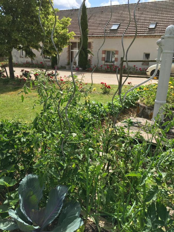 La Ferme De La Maugerie Bed & Breakfast Thoury ภายนอก รูปภาพ