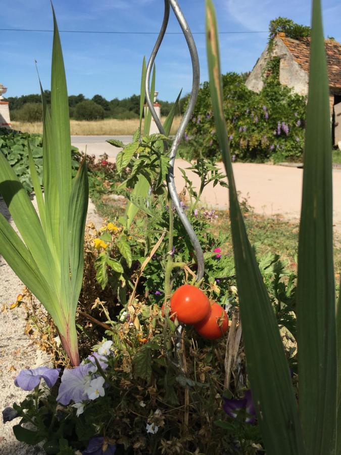 La Ferme De La Maugerie Bed & Breakfast Thoury ภายนอก รูปภาพ
